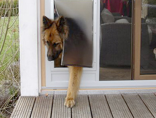 koenigsberger-insektenschutz-tierklappe